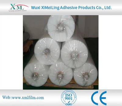 Transparent Plastic Film Rolls
